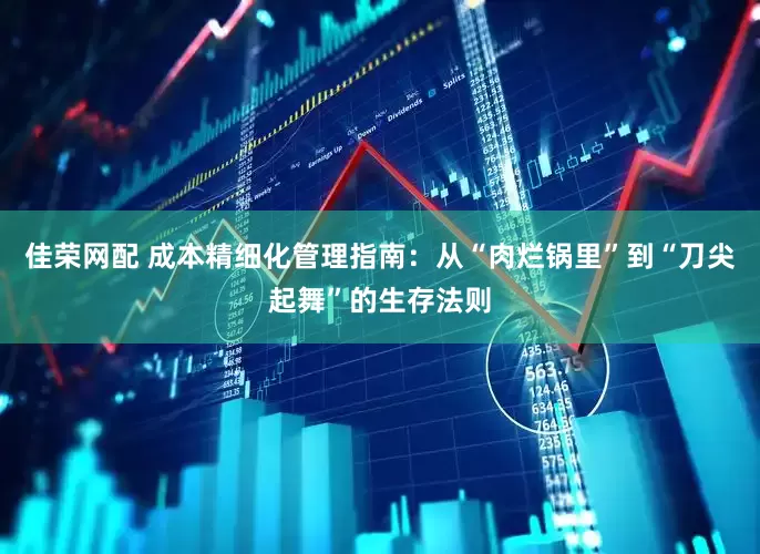 佳荣网配 成本精细化管理指南：从“肉烂锅里”到“刀尖起舞”的生存法则
