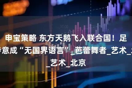 申宝策略 东方天鹅飞入联合国！足尖诗意成“无国界语言”_芭蕾舞者_艺术_北京