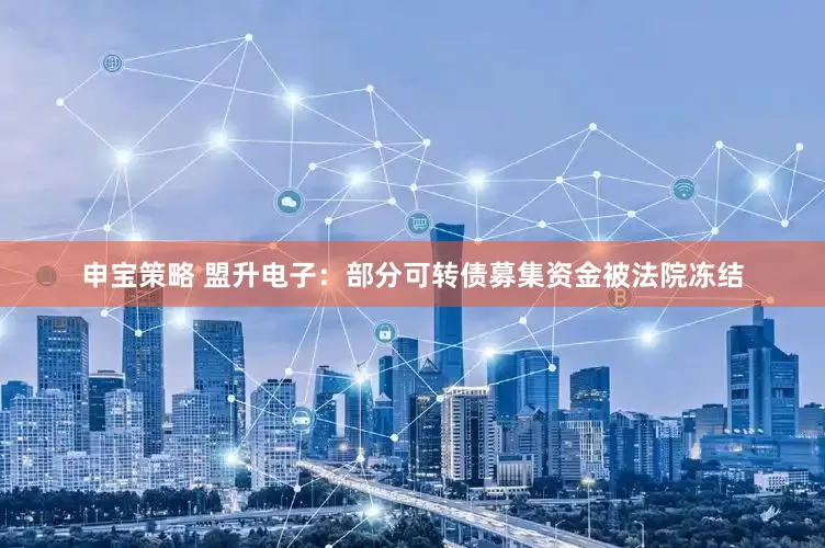 申宝策略 盟升电子：部分可转债募集资金被法院冻结